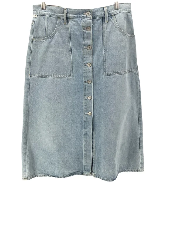 Citizens of Humanity Size 31 Denim Skirt chiffon skirt delicate